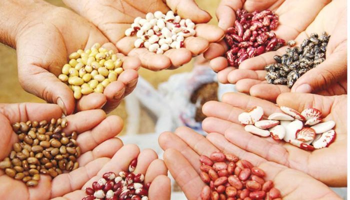 बीज बोने से पहले करें ये एक काम, फसल देगी डबल मुनाफा