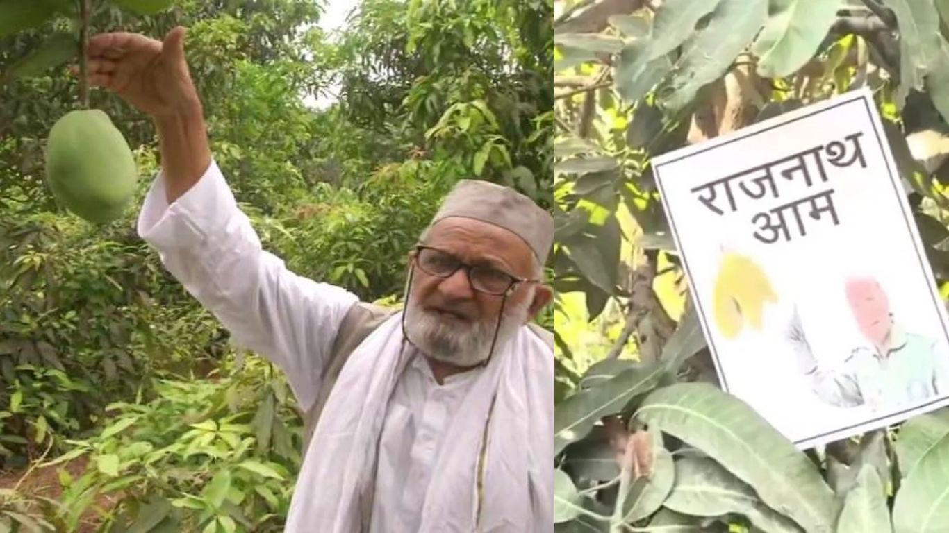 UP News 79