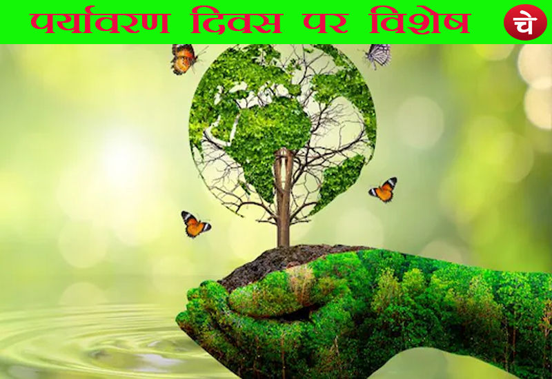 पर्यावरण संरक्षण के प्रति गंभीर नहीं हैं भारतवासी