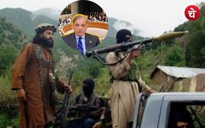 आतंकवाद पर दोहरी चाल? पाकिस्तान को तालिबान प्रतिबंध समिति की अध्यक्षता, रूस सहित कई देश करेंगे सहयोग