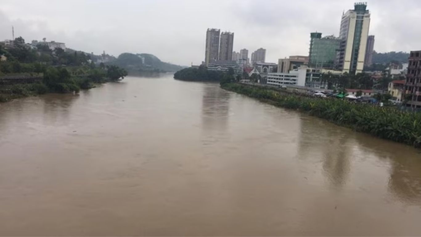 China News