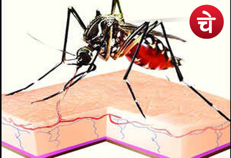 डर लागे, काटे ना मच्छर...