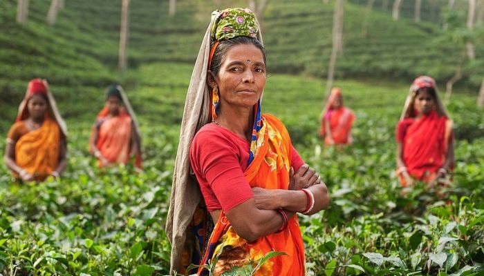 2025 में महिलाओं के लिए उत्तर प्रदेश सरकार की 10 दमदार स्कीम, लाखों के फायदे!