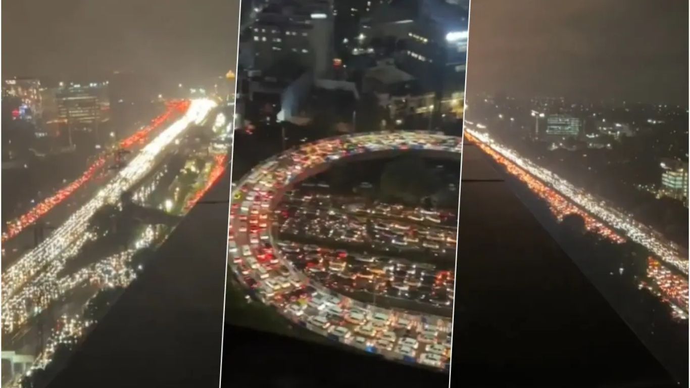 दिल्ली का ऐसा नजारा कभी नहीं लगा देखा होगा आपने