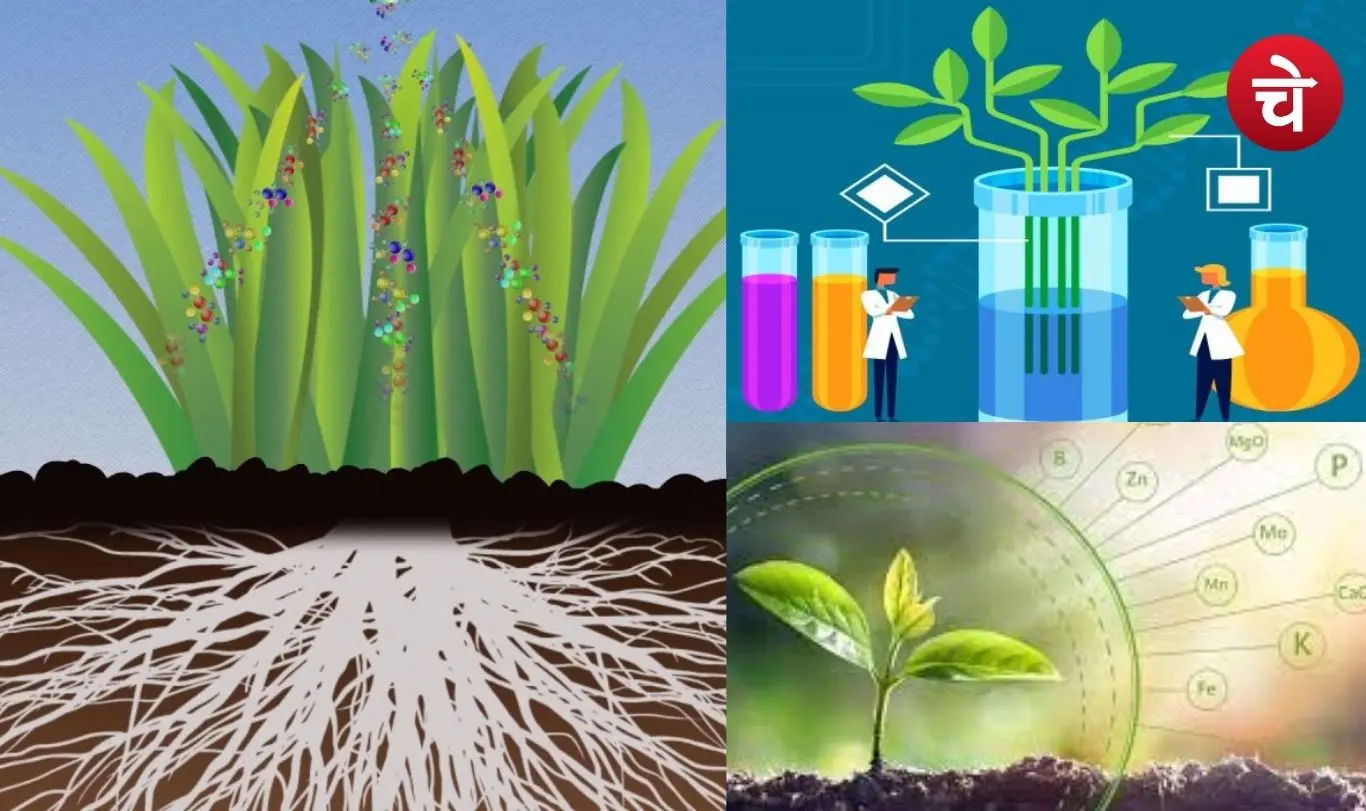 Amino Acid Farms Big Benefits