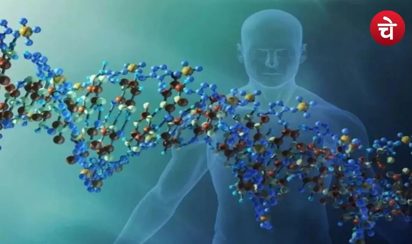 Deoxyribonucleic Acid (DNA)