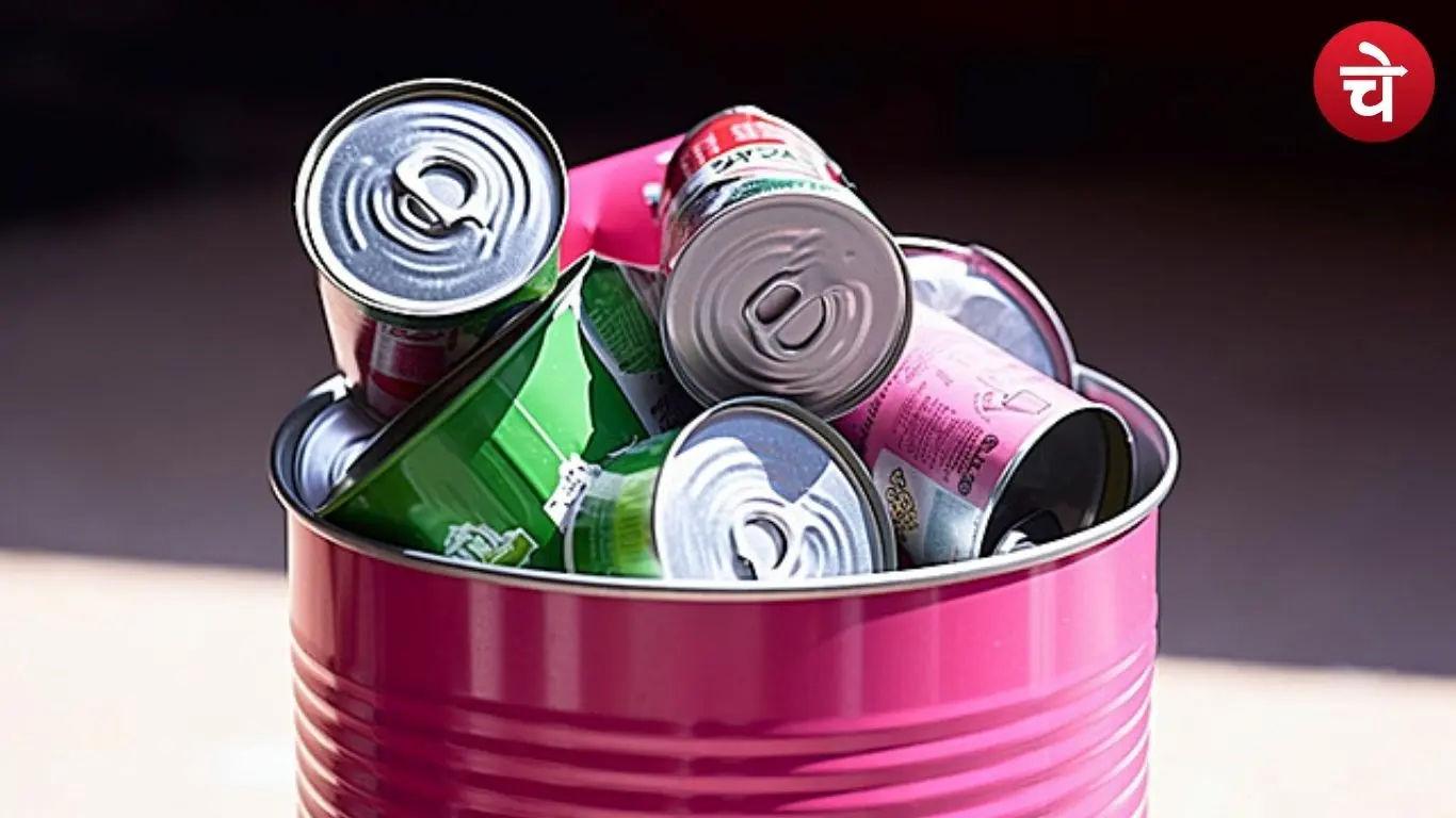 घरेलू स्टार्टअप की धमाकेदार शुरुआत, जीरो-बजट में बढ़ा मुनाफा