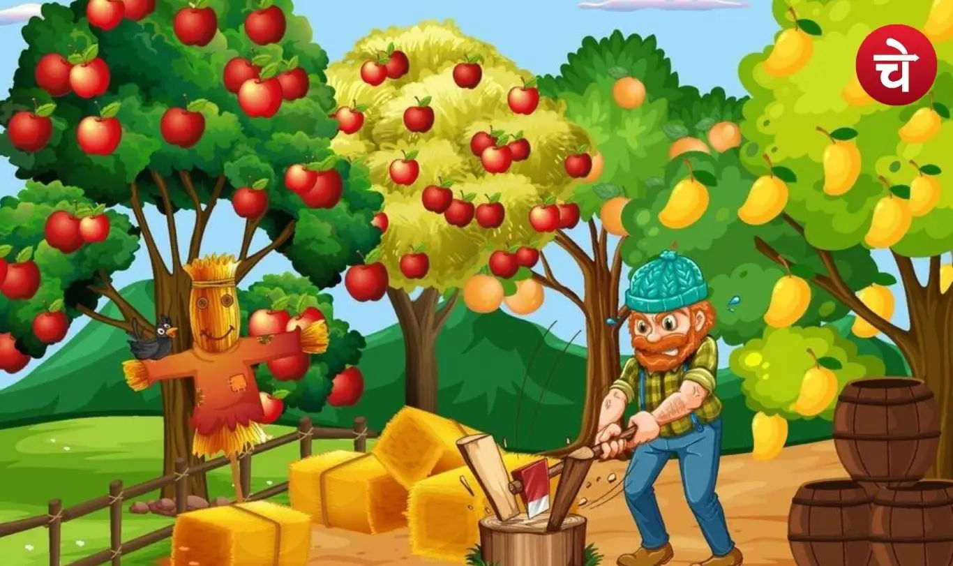 Japanese fruit cultivation