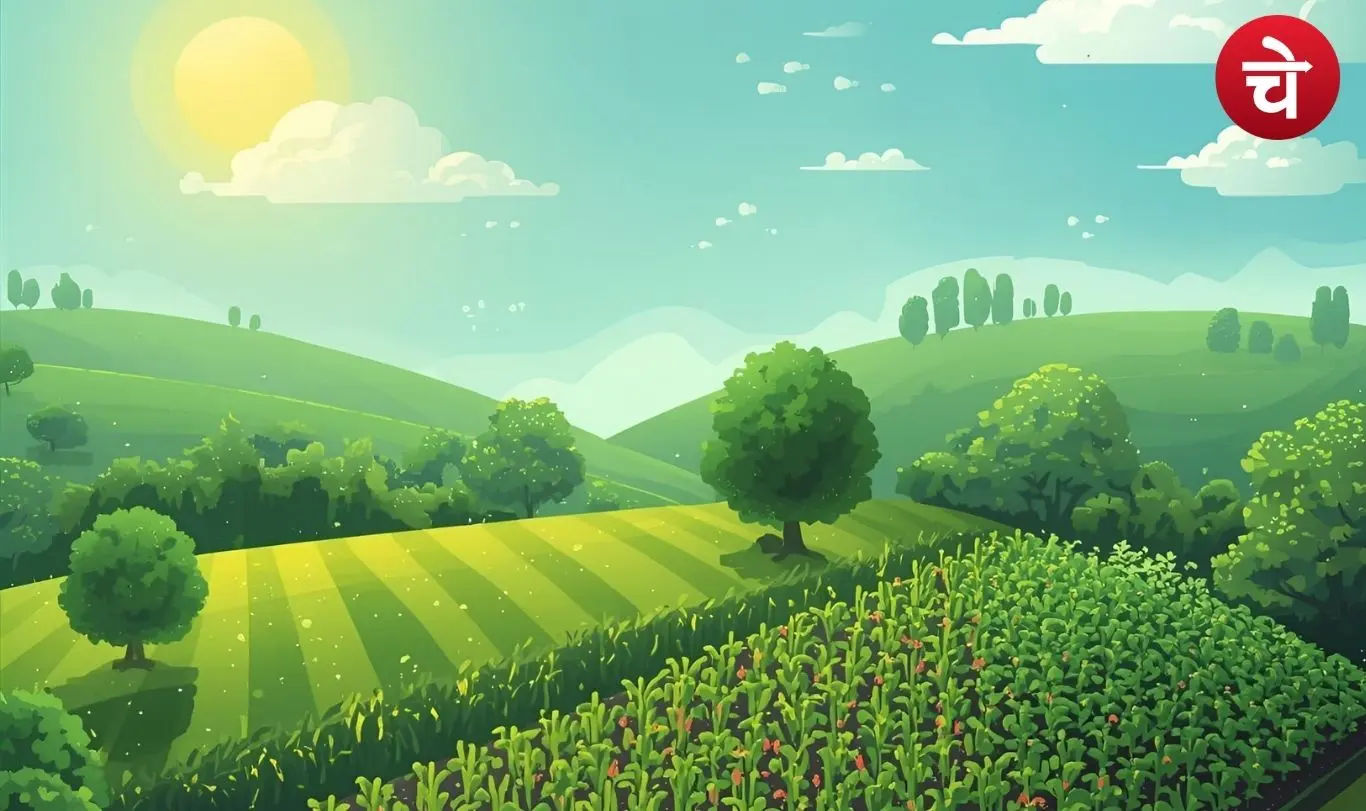 Microorganism Revolution Farming