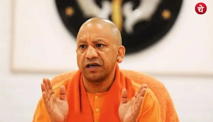 cm yogi (11)