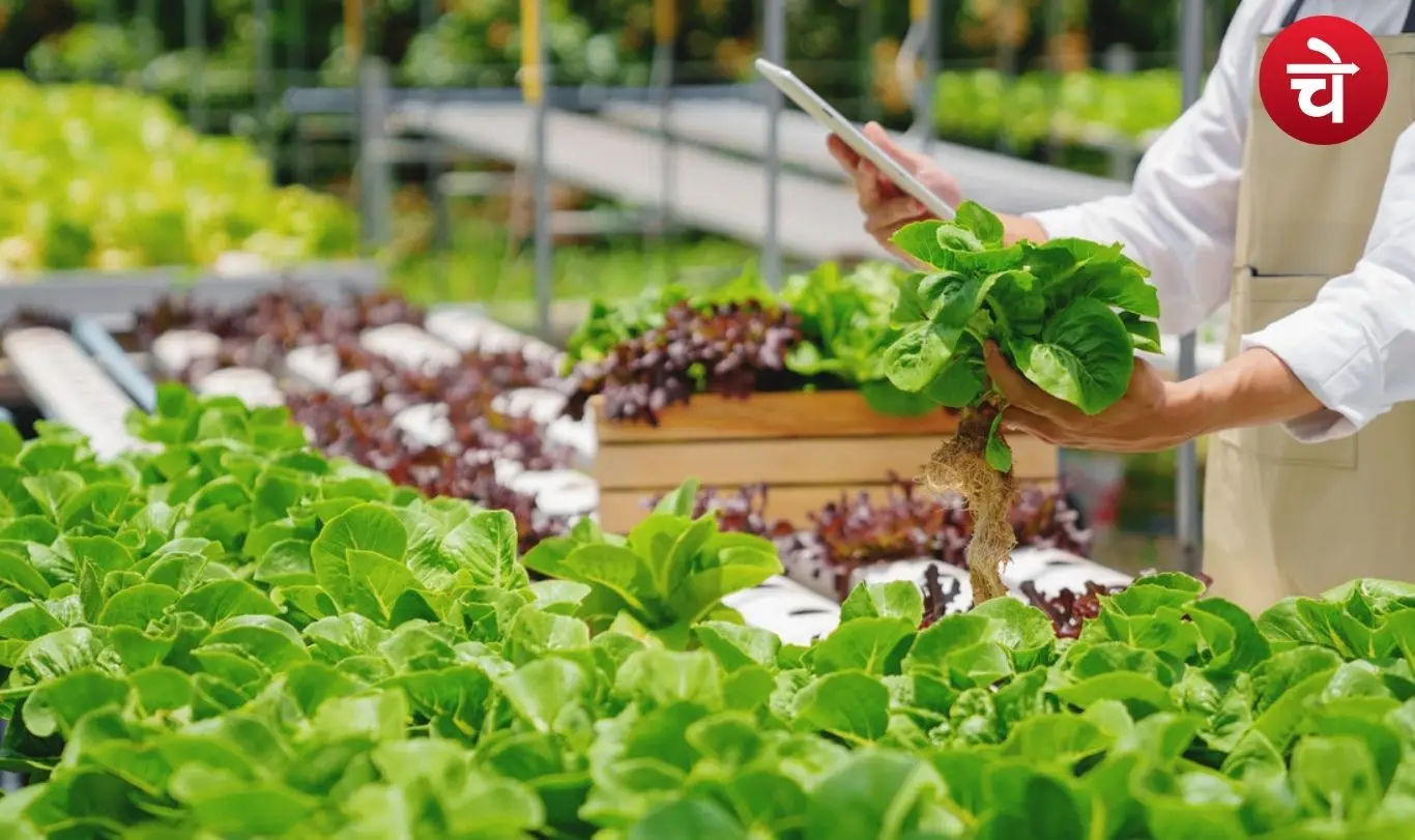 vertical farming