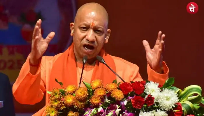 yogi 5 (3)