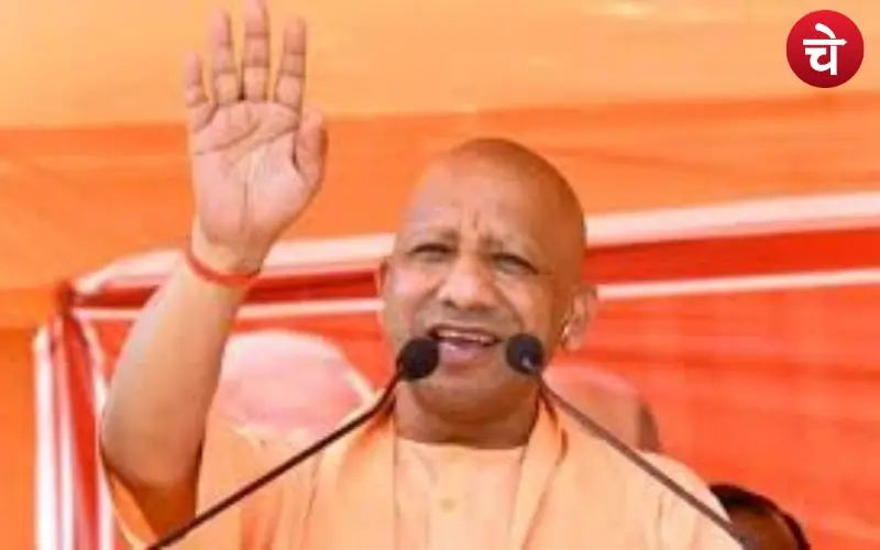 yogi (7)