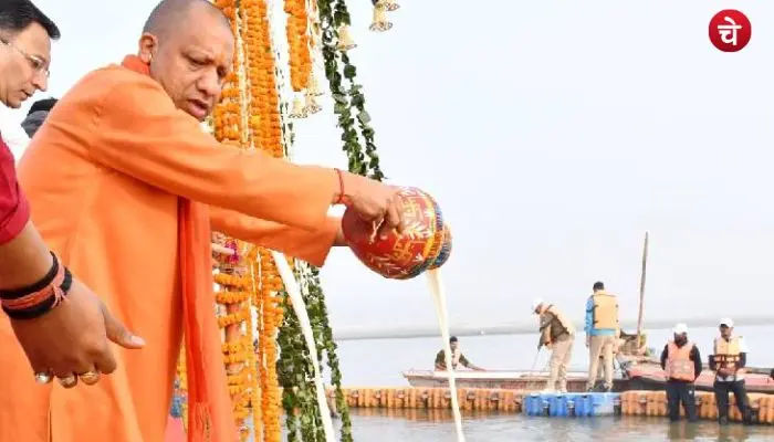 yogi (10)