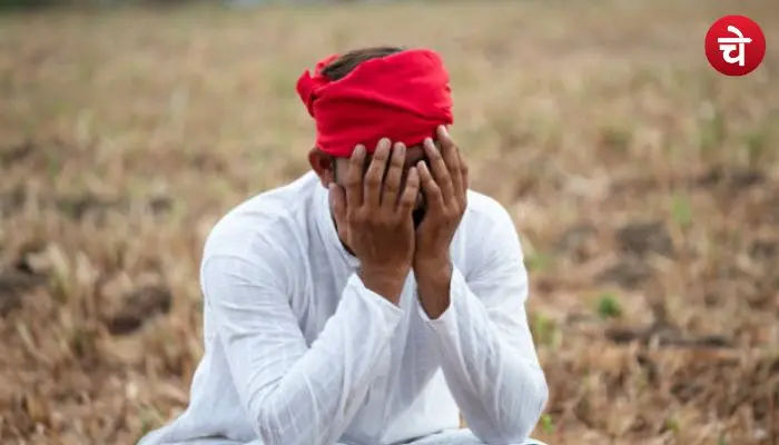 CM Kisan Samman Nidhi Scheme