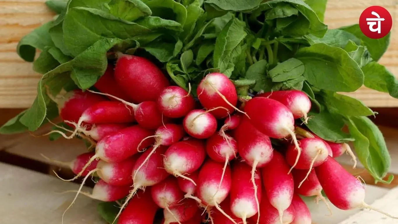 Pusa Pink Radish