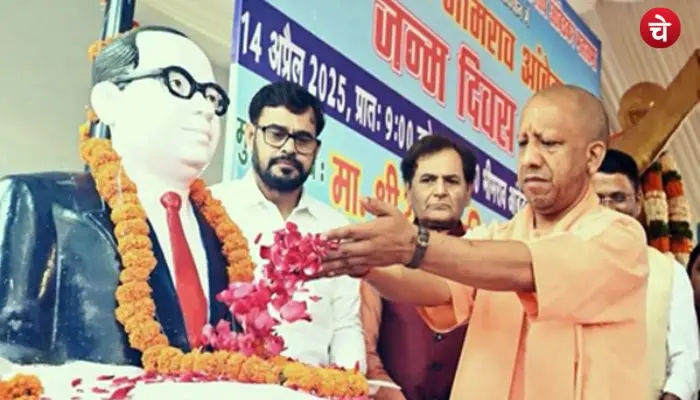 cm yogi (14)