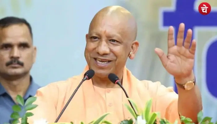 cm yogi (17)