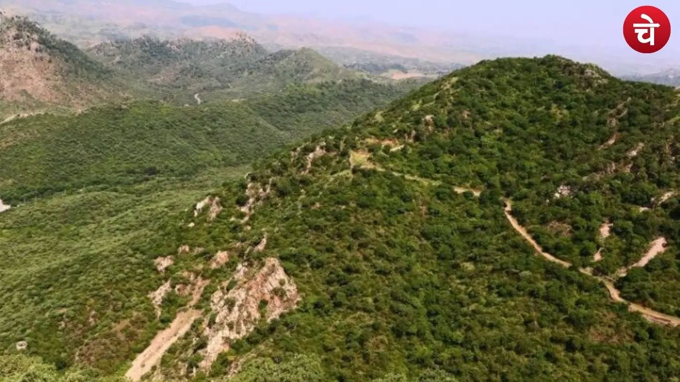 अरावली विवाद