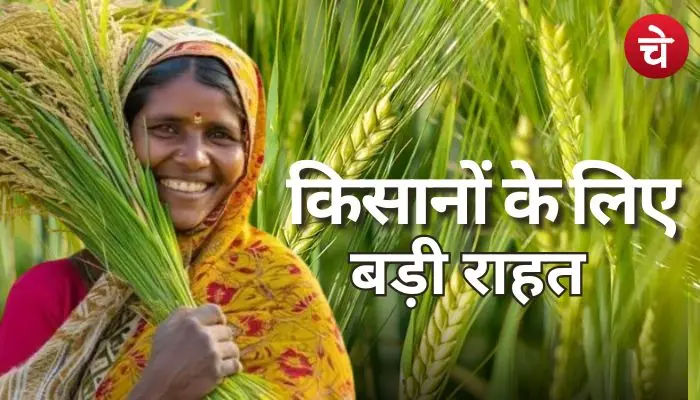 रबी सीजन 2025-26