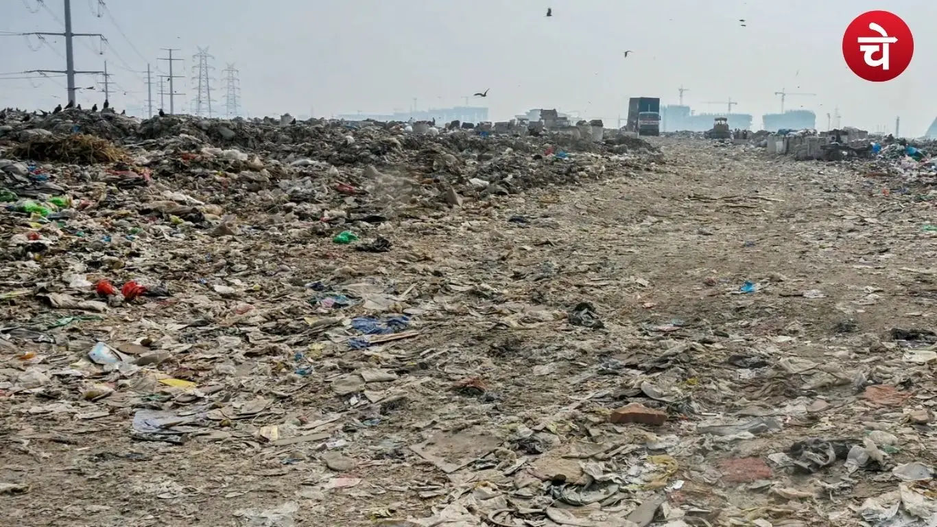 सेक्टर-145 डंपिंग ग्राउंड में सनसनी