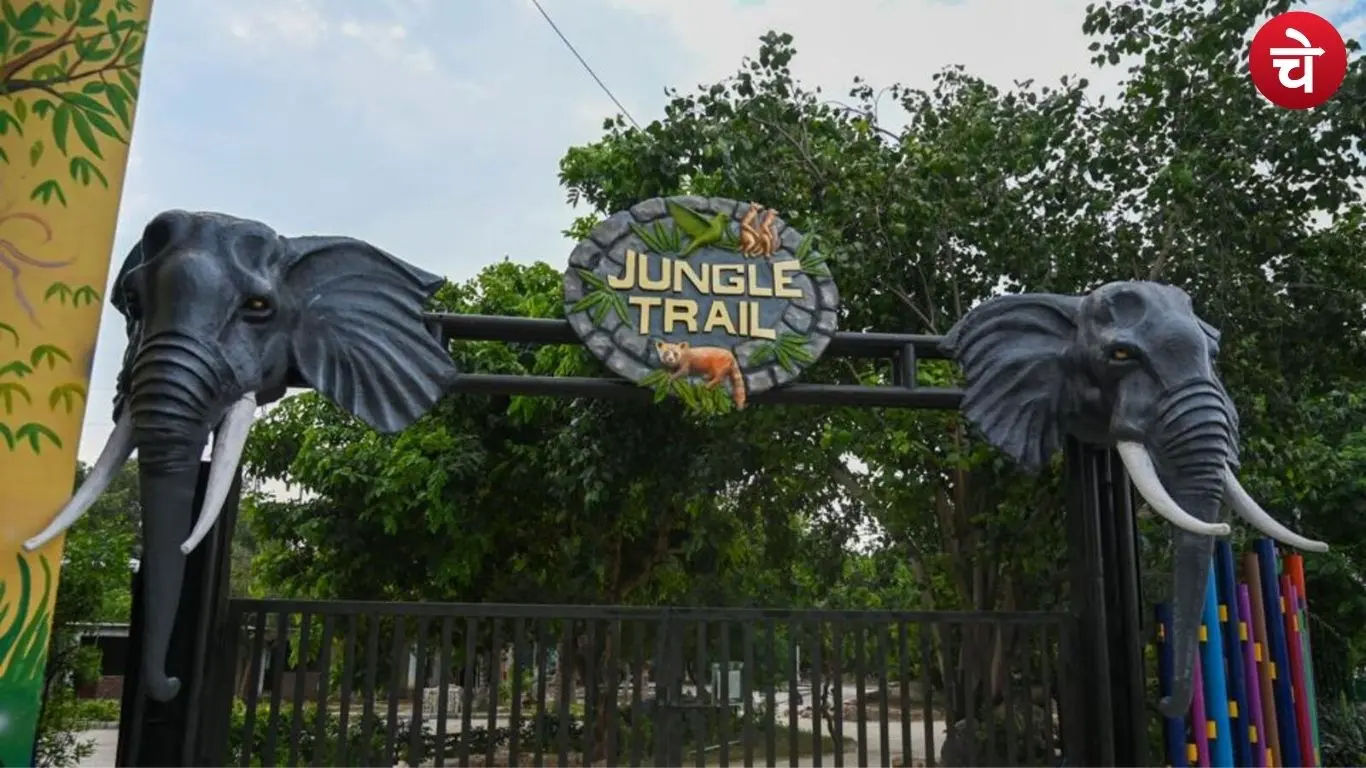 सेक्टर-94 का Jungle Trail Park