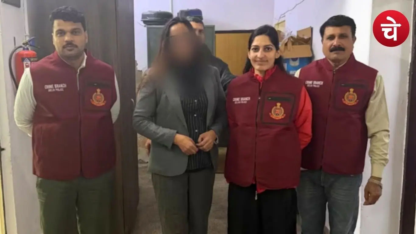 Fake embassy number plates in Delhi