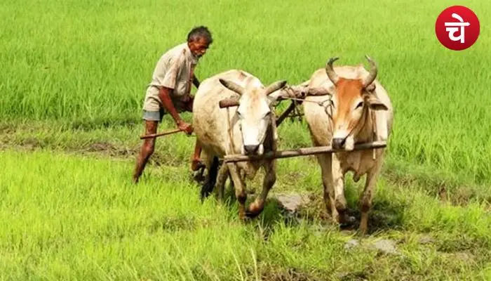 Farmer ID