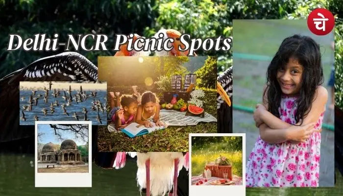 Picnic Spot