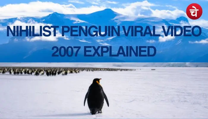 पूरे इंटरनेट पर क्यों छाया है यह Nihilist Penguin? जानकर आपके भी छलक पड़ेंगे आंसू