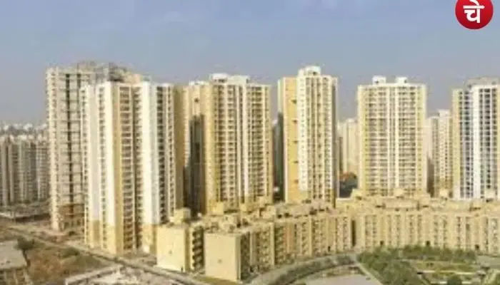 flat (5)