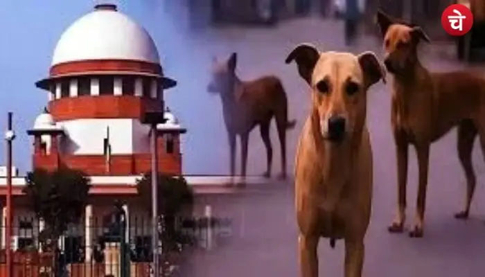supreem court (2)