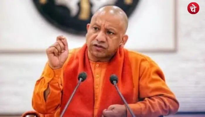 yogi 12