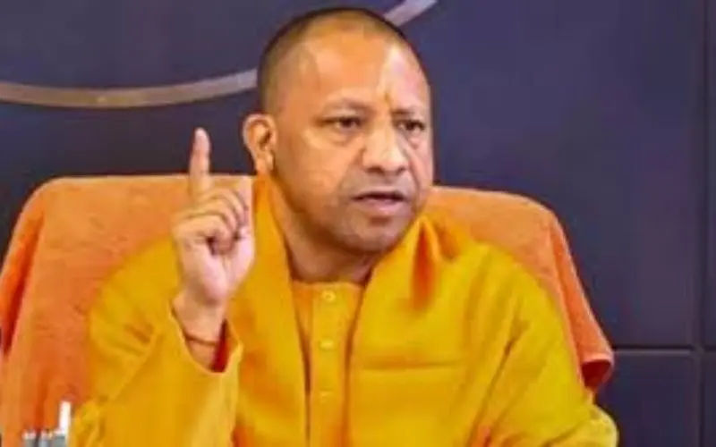 yogi (6)