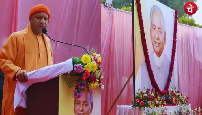yogi cm (1)