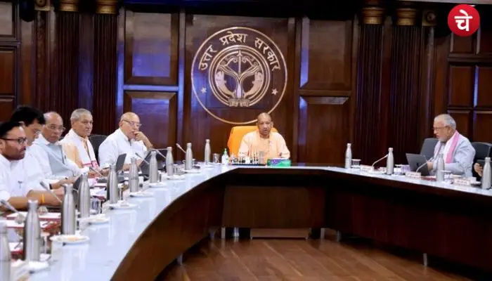 yogi cm (2)