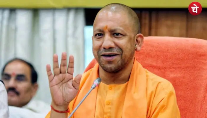 yogi cm (3)