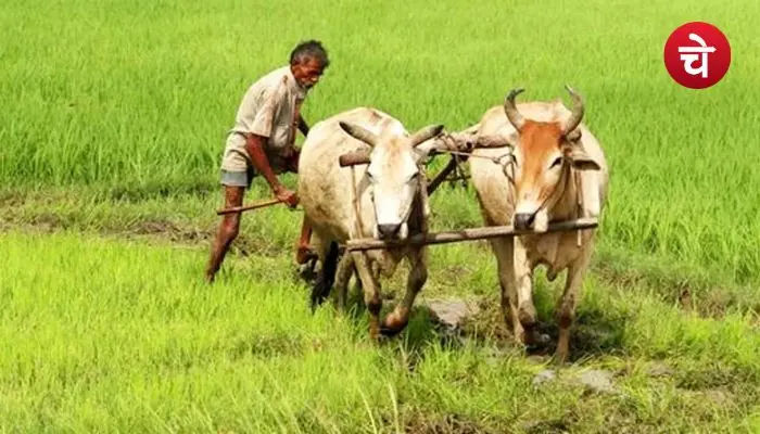 Farmer ID Bihar