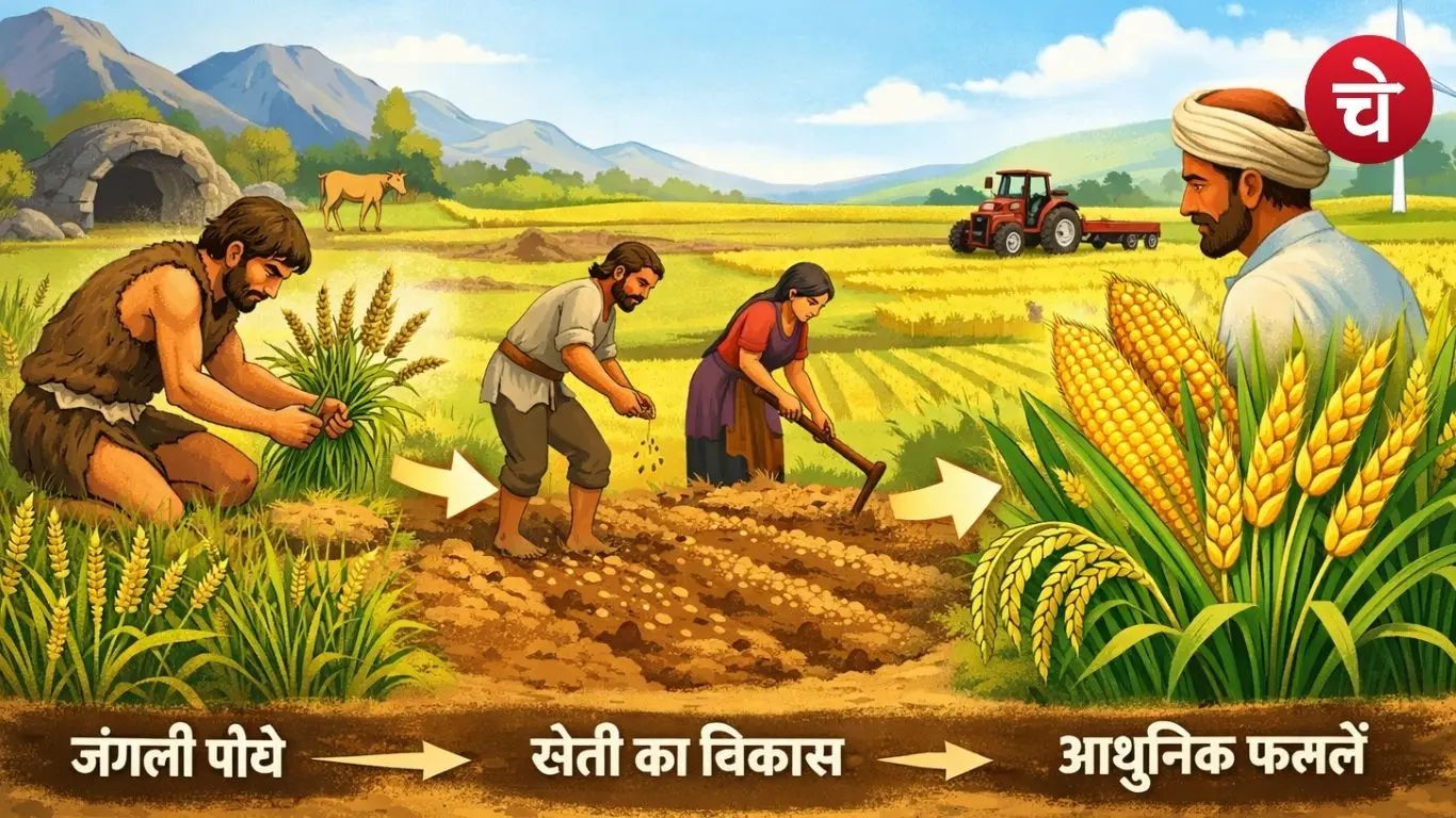From hunter to farmer