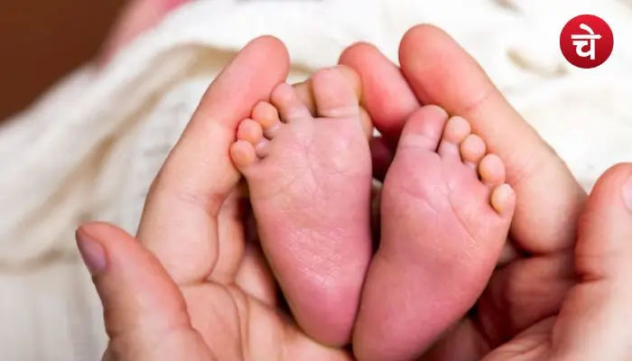 Gaudium IVF