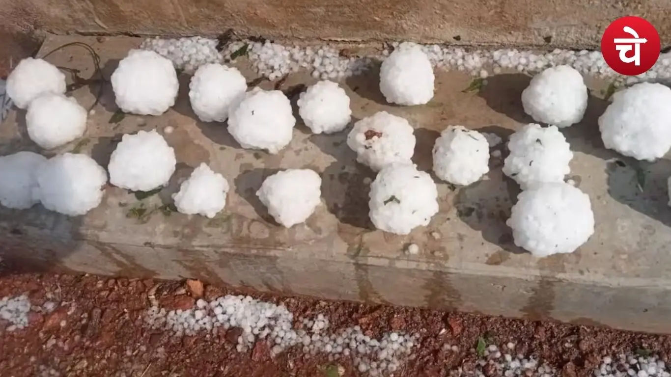 Hailstorm caused damage to farmers