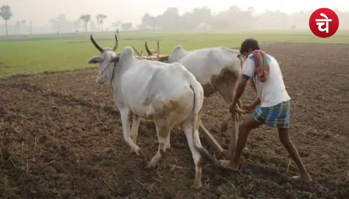 Jammu Kashmir Muhafiz Yojana