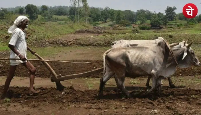 PM Kisan Yojana