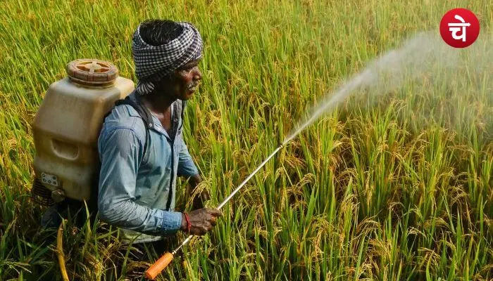 PM Kisan Yojana