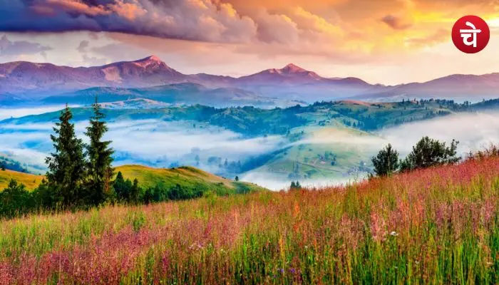Places to Visit