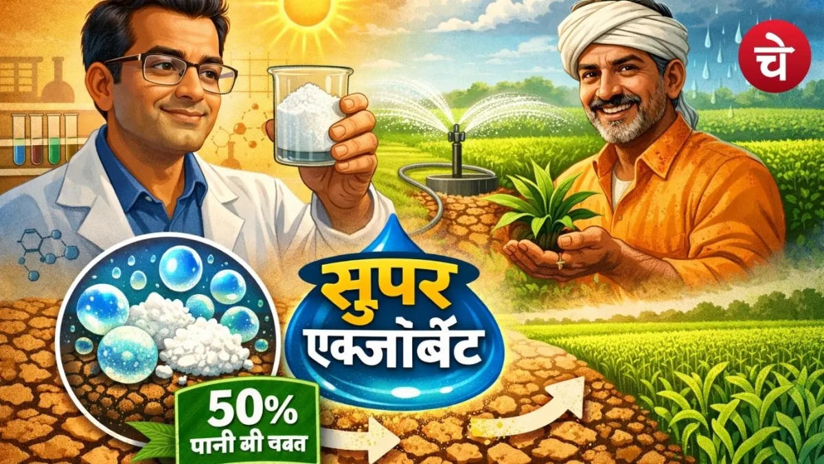 सूखे से लड़ाई में बड़ी सफलता, भारतीय वैज्ञानिकों ने बनाया 'सुपर एब्जॉर्बेंट', सिंचाई में होगी 50% पानी