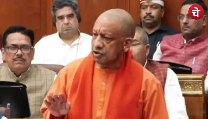 cm yogi (31)