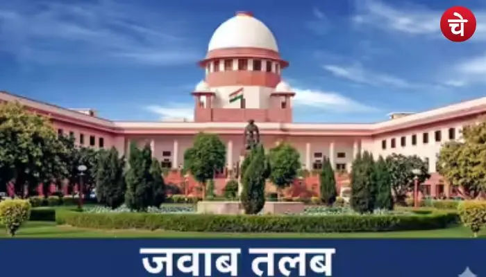 court (1)