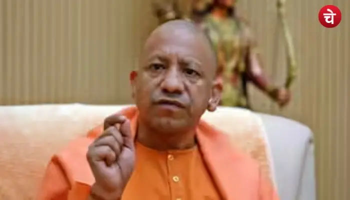 yogi (18)