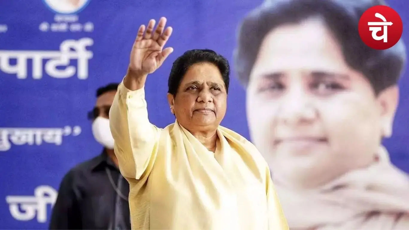 मायावती का संगठन पर बड़ा दांव,नौशाद अली बने 4 मंडलों के मुख्य प्रभारी